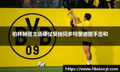 zoty中欧官方网站