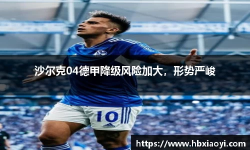 沙尔克04德甲降级风险加大，形势严峻