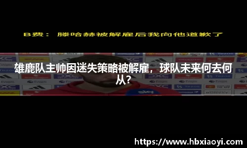 雄鹿队主帅因迷失策略被解雇，球队未来何去何从？