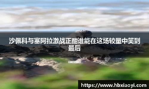 zoty中欧官方网站